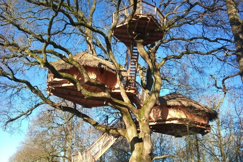 Cabane Chêne Fou